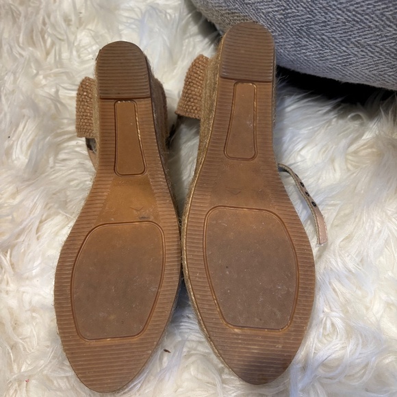 Viscata - Picture 3 of 3